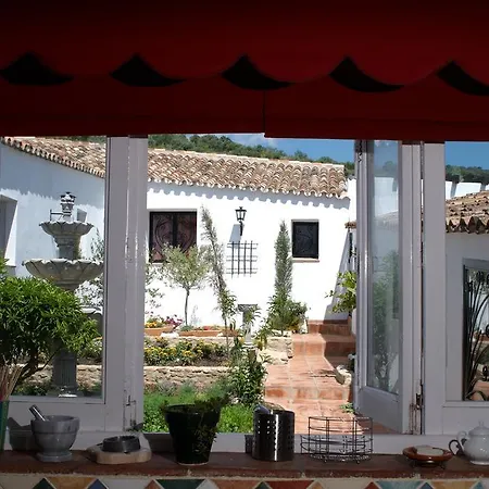 The White Olive * Ronda